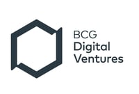 bcg dv logo